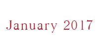 The Saga Begins January 2017!